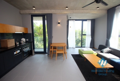 Well design two bedrooms apartment for rent in Ho Ba Mau, Dong Da , Hai Ba Trung,district, Ha Noi